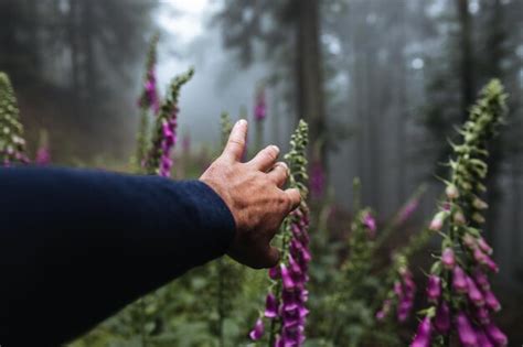 Premium Photo Cropped Hand Touching Flowering Plants