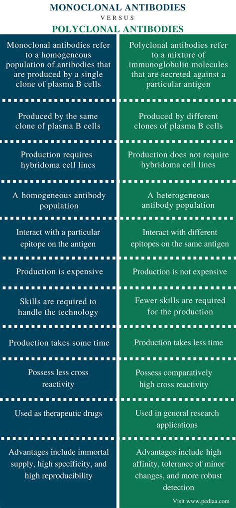 Difference Between Monoclonal and Polyclonal Antibodies | Definition, Production, Usage