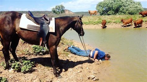 You Can Lead a Horse to Water… - Texas District