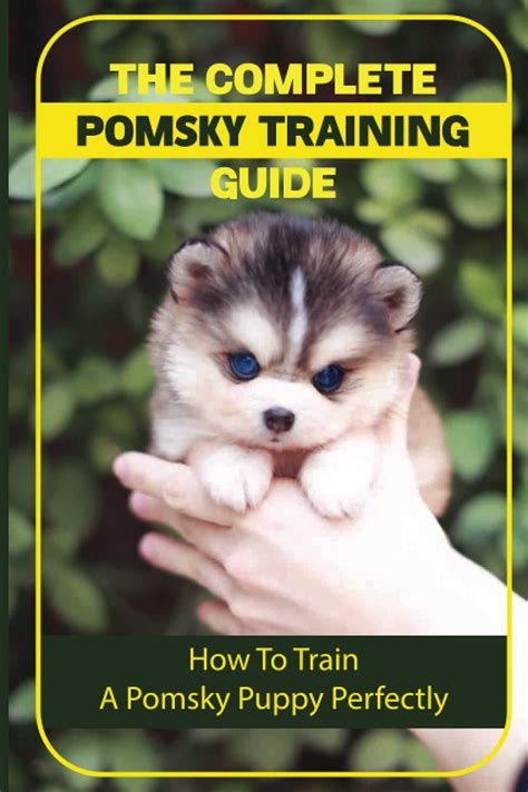 The Complete Pomsky Training Guide: How To Train A Pomsky Puppy Perfectly: Pomsky Training From ...