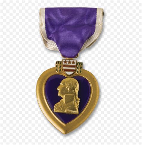 Download Named Giving Purple Heart Medal Pngpurple Heart Medal Png