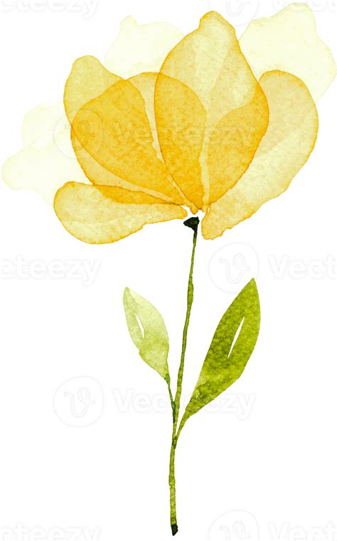 Yellow Flower Watercolor 29752398 Png