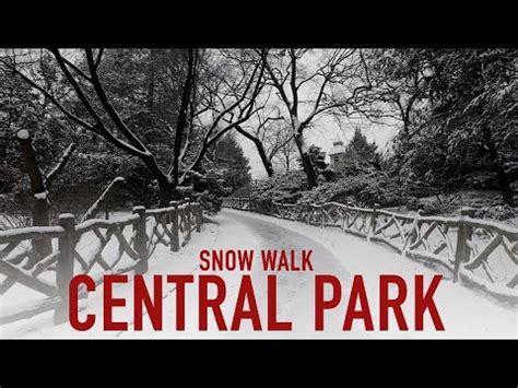 Central Park Snow Walk Nyc January K Youtube