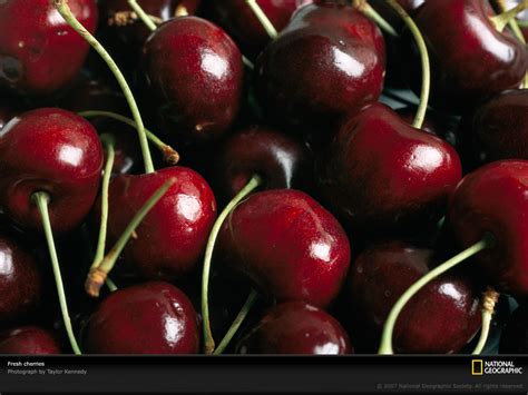 🔥 40 Cherries Wallpapers Wallpapersafari