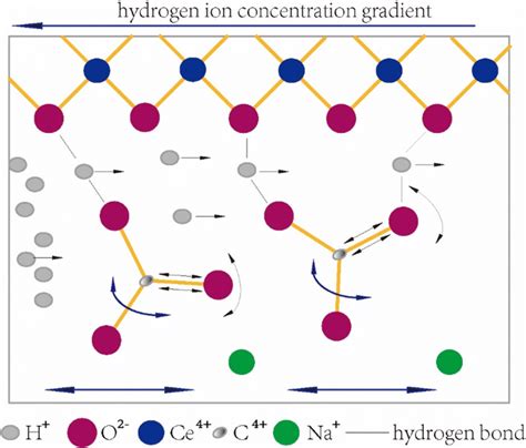 The Diagram Of Proton Conduction Mechanism Download Scientific Diagram