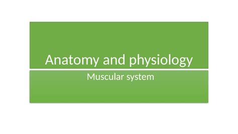 Anatomy And Physiology The Muscularpptx