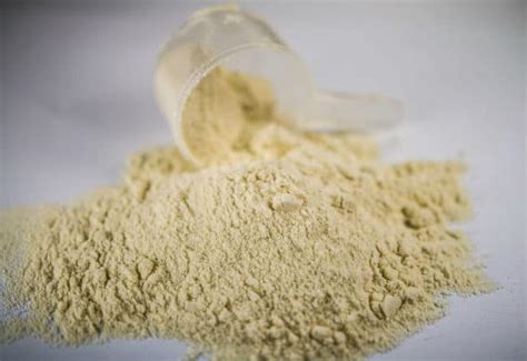 The Best Whey Protein Isolate Powder