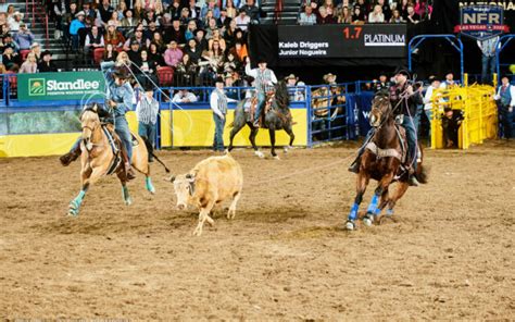 Team Ropers Driggers Nogueira Wins Second Straight Gold Buckles At The