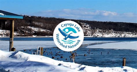 Home Cayuga Lake Watershed Network