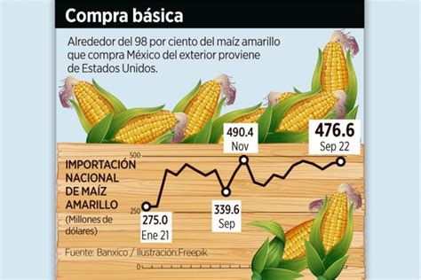 💡 Ventajas Y Desventajas Del Maiz Transgenico