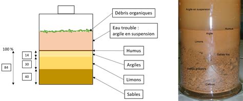 Comment Lire Le Triangle De Texture