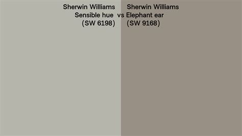 Sherwin Williams Sensible Hue Vs Elephant Ear Side By Side Comparison