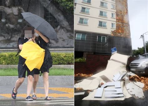 중대본 태풍 ‘바비 대응 최고단계로“외출 자제해야” 국민일보