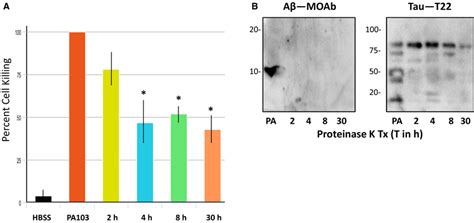 Analysis Of Proteinase K‐treated Pa103 Supernatant A Supernatant