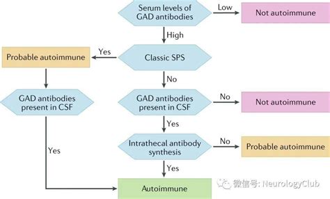 神经综述：谷氨酸脱羧酶（gad）抗体与神经系统疾病综合征