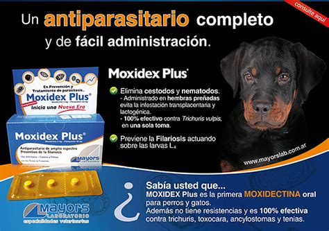 Moxidex Plus Comprimidos Antiparasitario Interno Para Perros Del Laboratorio Mayors Mascotas Foyel