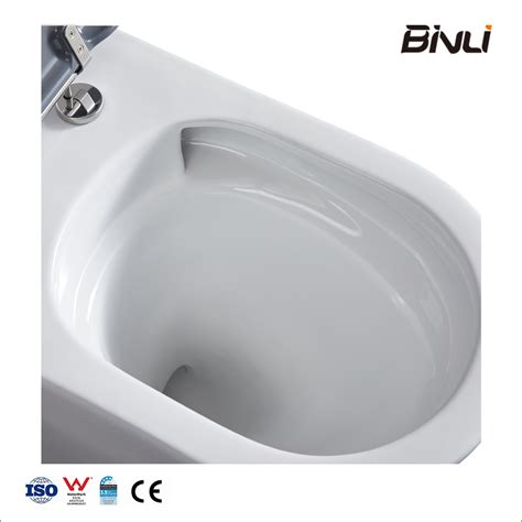 Sanitary Ware Ceramic Toilet Rimless P Trap Dual Flush Disabled Two