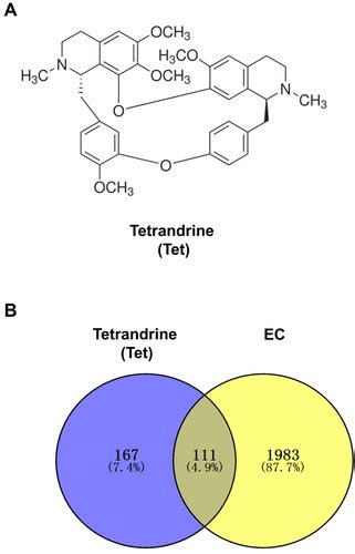 Full Article Mechanism Of Tetrandrine Against Endometrial Cancer Based