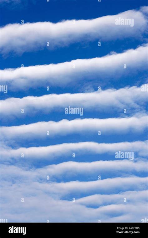 Altocumulus undulatus clouds. This cloud formation consists of parallel ...