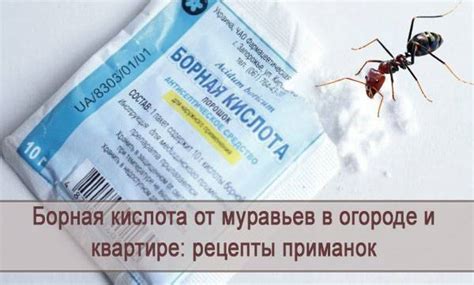 Борная кислота от муравьев