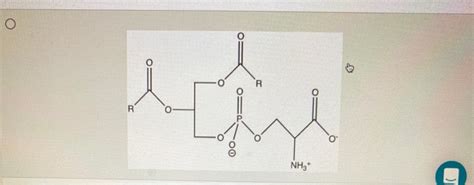 Solved Identify the structure for phosphatidylglycerol. | Chegg.com