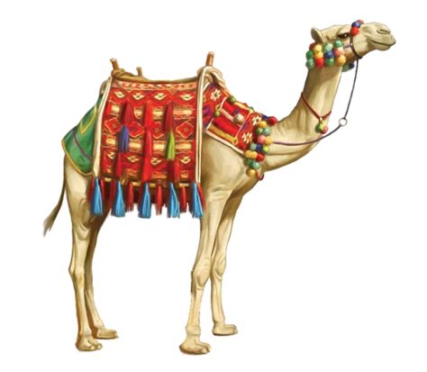 Camel Png Transparent Images Free Download Pngfre