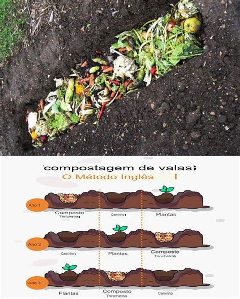 Compostagem Em Trincheiras Um Guia Simples Para Enriquecer O Solo Do