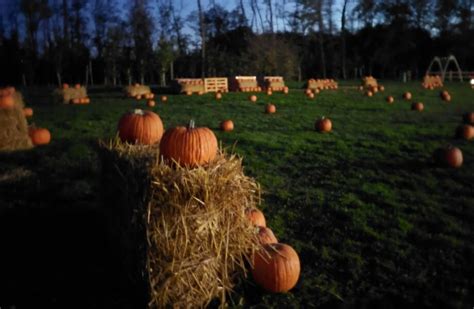 Villaggio Delle Zucche Al Parco Altomilanese Sempione News