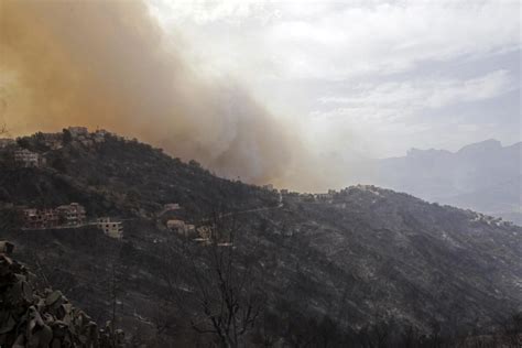 Brucia Il Mediterraneo Vittime Degli Incendi In Algeria Un Morto