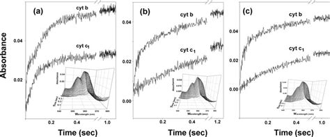 Inhibition Of Ubiquinol Cytochrome C Reductase Activity Of Bovine