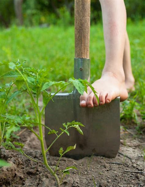 Naked Farmer Photos Free Royalty Free Stock Photos From Dreamstime