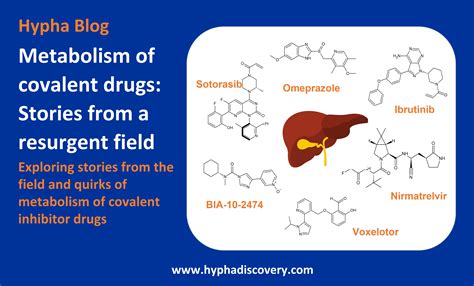 Covalent Drugs Metabolism Stories Hypha Discovery Blogs