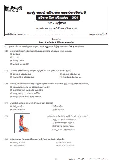 Grade 07 Health 3rd Term Test Paper 2020 Sinhala Medium Southern Province