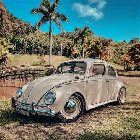 Pin by Gleydson Almeida Castro on Carros rebaixados | Antique cars, Bmw ...