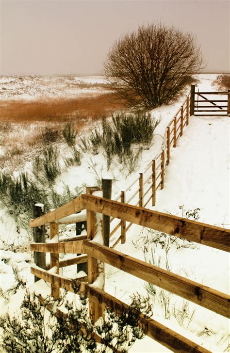 Gratis Afbeeldingen Landschap Boom Natuur Buitenshuis Berg