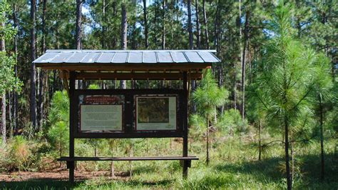 Yellow and Green Trails, Wiregrass Prairie Preserve – Florida Hikes