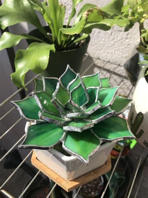 Made this little succulent this week.. : r/succulents