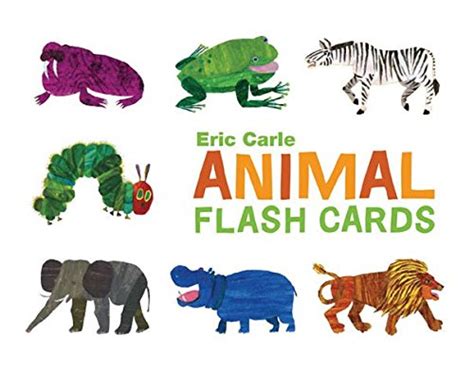 Animal Flash Cards