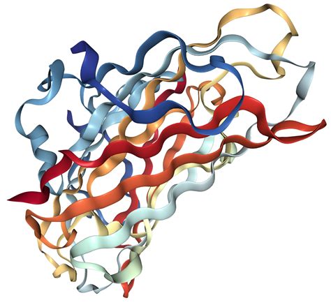 Ghitm Mics Protein Overview Sino Biological