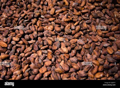 Trade Cocoa Beans Hi Res Stock Photography And Images Alamy