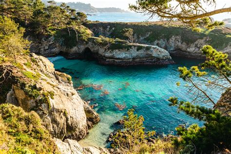 Ultimate Guide To Visiting Point Lobos State Natural Reserve In 2024