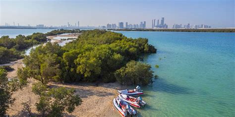 TOP Park Narodowy Mangrove Abu Zabi Atrakcje Jesienne 2023 DARMOWA