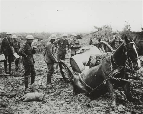 Horse power in the First World War | National Army Museum