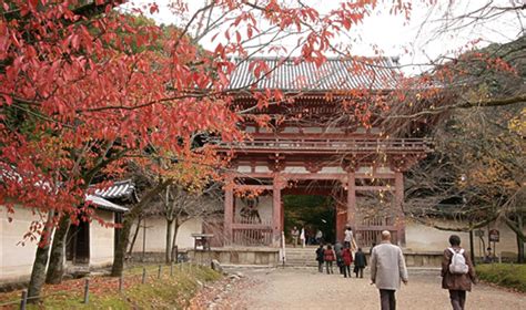 世界遺産 京都 醍醐寺