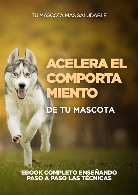 Acelera El Comportamiento De Tu Mascota Pedro Souza Hotmart