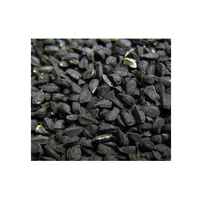 Nigella Sativa Seeds in Thailand, Nigella Sativa Seeds Suppliers ...