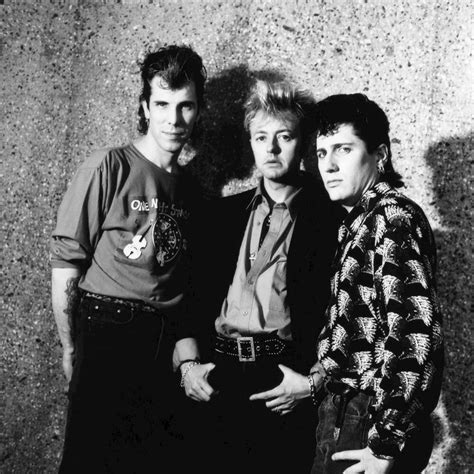 Stray Cats Tickets 2024 Concert Tour Dates Eventworld