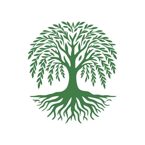 Premium Vector Root Tree Logo Vector Root Of The Tree Vector Logo