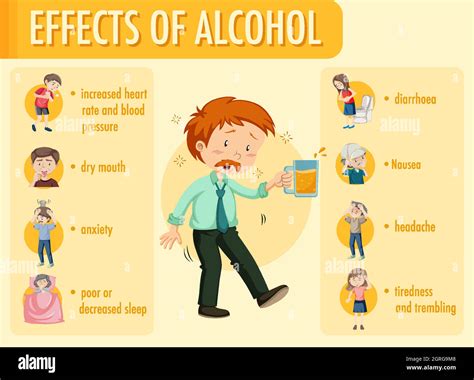 Effects Of Alcohol Information Infographic Stock Vector Image And Art Alamy