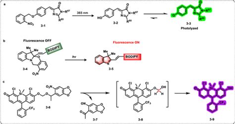 Fluorogenic Reactions In Chemical Biology Seeing Chemistry In Cells